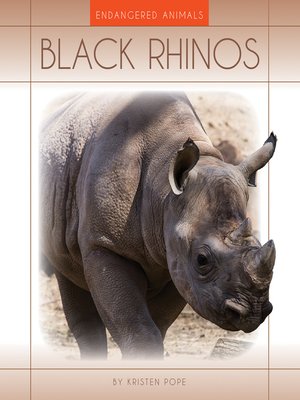 cover image of Black Rhinos